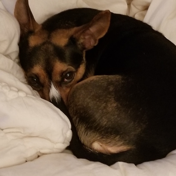 Meet your Posher, Linda - Picture 11 of 16